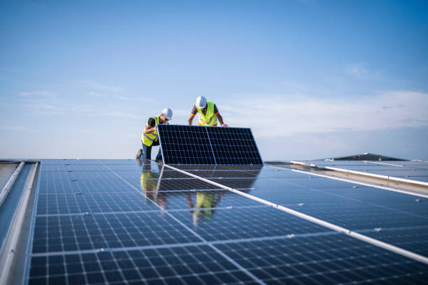 Best Roof Maintenance and Cleaning  in Needles, CA