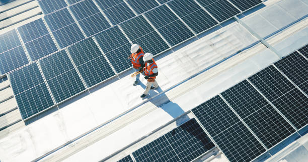 Best Asphalt Shingle Roofing  in Needles, CA