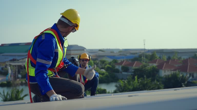 Best Sheet Metal Roofing  in Needles, CA